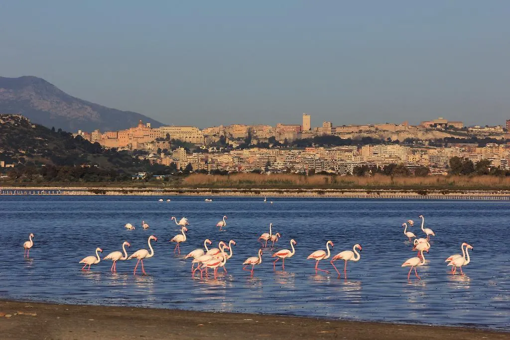 Appartamenti Le Rondini Cagliari Italy
